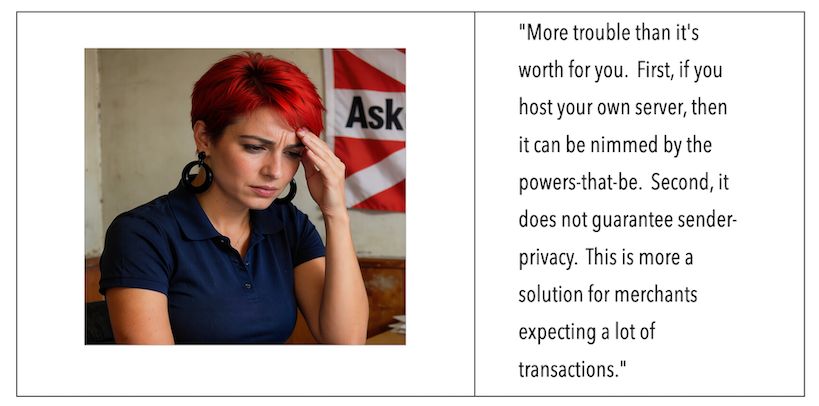 On the left side is a close up of Seina   On the right side, it states: More trouble than it's worth for you.  First, if you host your own server, then it can be nimmed by the powers-that-be.  Second, it does not guarantee sender-privacy.  This is more a solution for merchants expecting a lot of transactions.