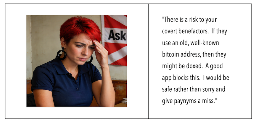 On the left side is a close up of Seina looking worried.  On the right side, it states: There is a risk to your covert benefactors.  If they use an old, well-known bitcoin address, then they might be doxed.  A good app blocks this.  I would be safe rather than sorry and give paynyms a miss.